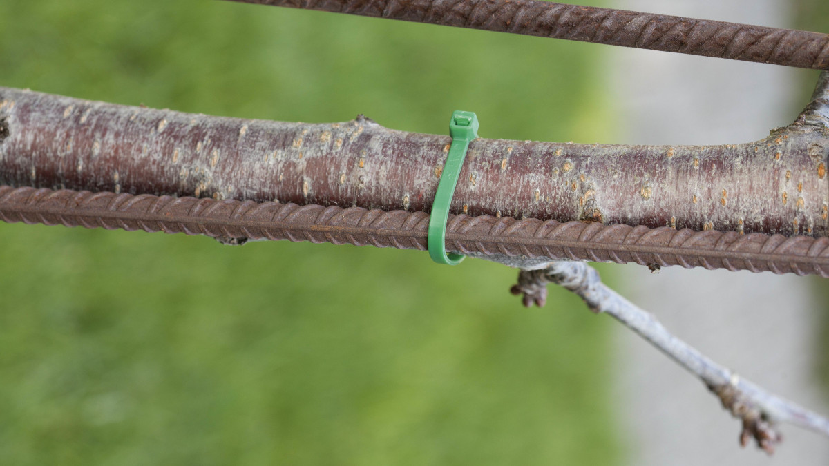 Coloured cable ties